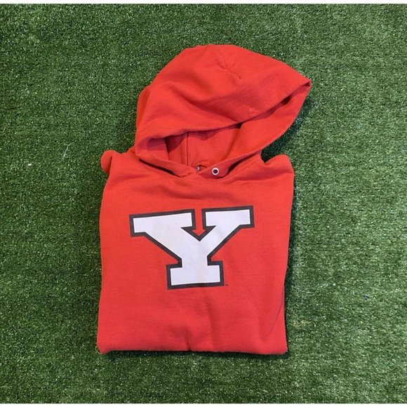 Vintage YTK Champion Youngstown State Penguins block Y hoodie sweatshirt small - Picture 1 of 8